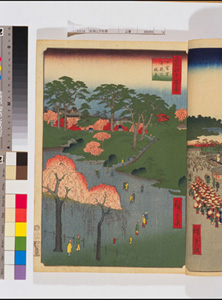 東洋文庫 所蔵 岩崎文庫 名所江戸百景 日暮里寺院の林泉