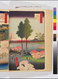 東洋文庫 所蔵 岩崎文庫 名所江戸百景 日暮里諏訪の台