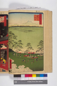 東洋文庫 所蔵 岩崎文庫 名所江戸百景 飛鳥山北の眺望