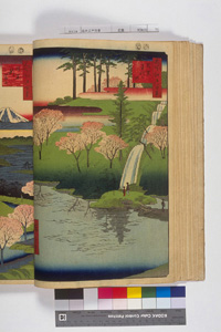 東洋文庫 所蔵 岩崎文庫 名所江戸百景 目黒千代が池
