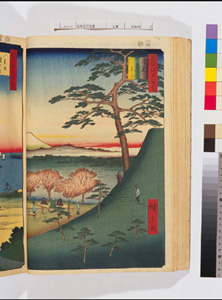 東洋文庫 所蔵 岩崎文庫 名所江戸百景 目黒元富士