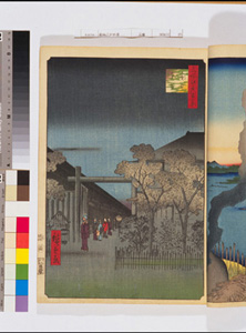 東洋文庫 所蔵 岩崎文庫 名所江戸百景 廓中東雲