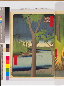 東洋文庫 所蔵 岩崎文庫 名所江戸百景 赤坂桐畑