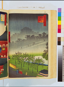 東洋文庫 所蔵 岩崎文庫 名所江戸百景 赤坂桐畑雨中夕けい