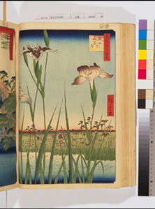 東洋文庫 所蔵 岩崎文庫 名所江戸百景 堀切の花菖蒲