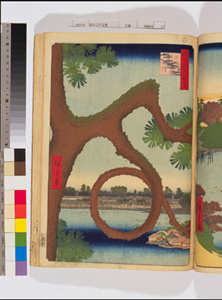 東洋文庫 所蔵 岩崎文庫 名所江戸百景 上野山内月のまつ