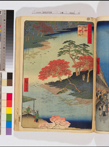 東洋文庫 所蔵 岩崎文庫 名所江戸百景 請地秋葉の境内