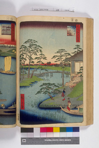 東洋文庫 所蔵 岩崎文庫 名所江戸百景 木母寺内川御前栽培