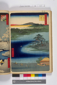 東洋文庫 所蔵 岩崎文庫 名所江戸百景 千束の池袈裟懸松