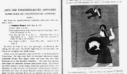 モリソンパンフレット