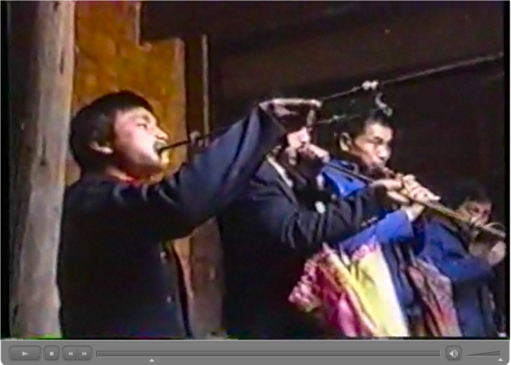 江西万載県潭埠村沙江橋丁氏村の儺舞　動画　 田仲一成 東洋文庫