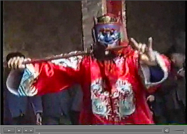 江西万載県潭埠村沙江橋丁氏村の儺舞　動画　 田仲一成 東洋文庫