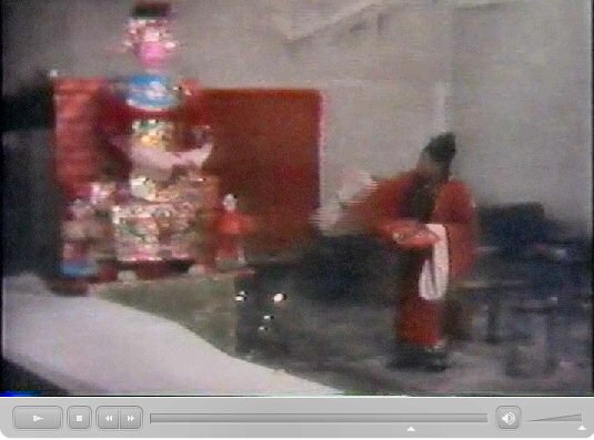 香港新界龍躍頭村太平清醮儀礼：広東正一派道士団 田仲一成 東洋文庫