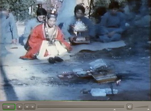 香港新界龍躍頭村太平清醮儀礼：広東正一派道士団 田仲一成 東洋文庫