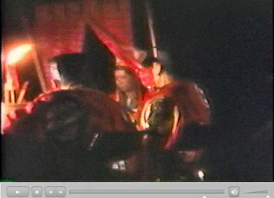 香港新界龍躍頭村太平清醮儀礼：広東正一派道士団 田仲一成 東洋文庫