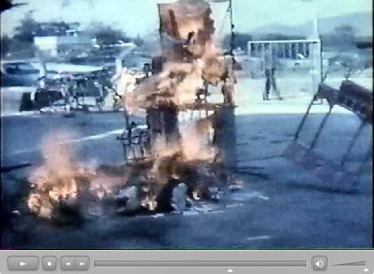 香港新界龍躍頭村太平清醮儀礼：広東正一派道士団 田仲一成 東洋文庫