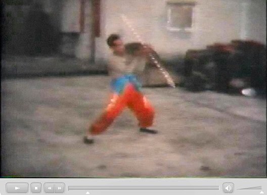 香港新界龍躍頭村太平清醮儀礼：広東正一派道士団 田仲一成 東洋文庫