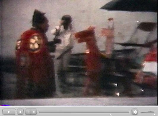 香港新界龍躍頭村太平清醮儀礼：広東正一派道士団 田仲一成 東洋文庫