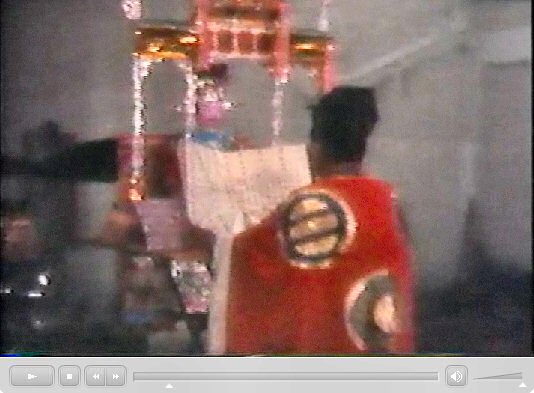 香港新界龍躍頭村太平清醮儀礼：広東正一派道士団 田仲一成 東洋文庫