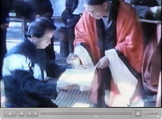 粉嶺洪朝 田仲一成 東洋文庫