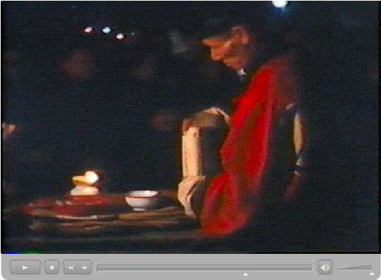 粉嶺洪朝 田仲一成 東洋文庫