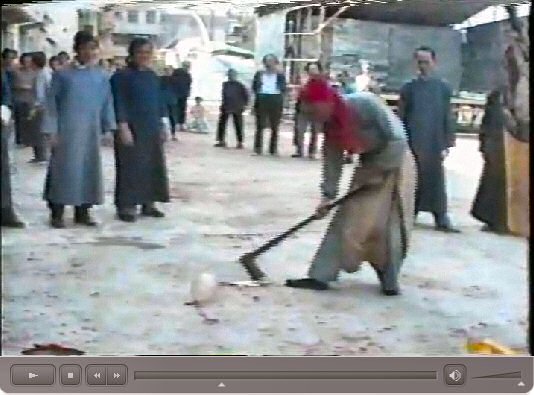 粉嶺洪朝 田仲一成 東洋文庫