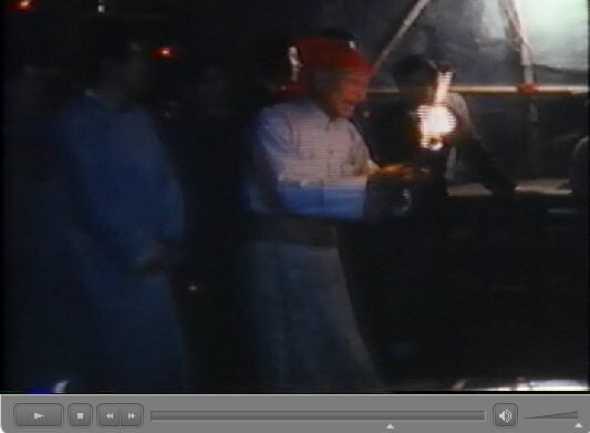 粉嶺洪朝 田仲一成 東洋文庫