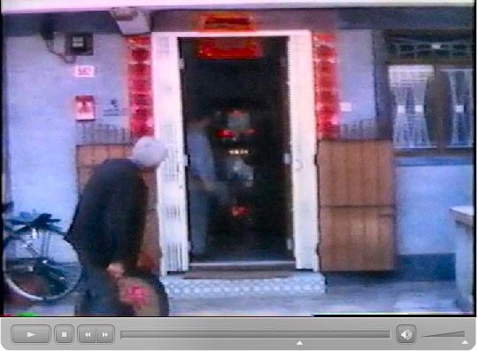 粉嶺洪朝 田仲一成 東洋文庫