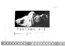 クリックで画像表示。しばらく時間がかかります。